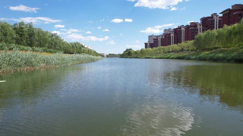 三河租房市场动态解析